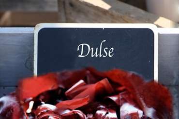 dulce alternative seaweed ingredient foraged dulce alternative seaweed ingredient foraged